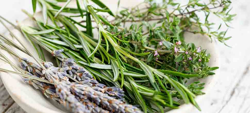 Rosemary Oil in Personal and Skin Care 