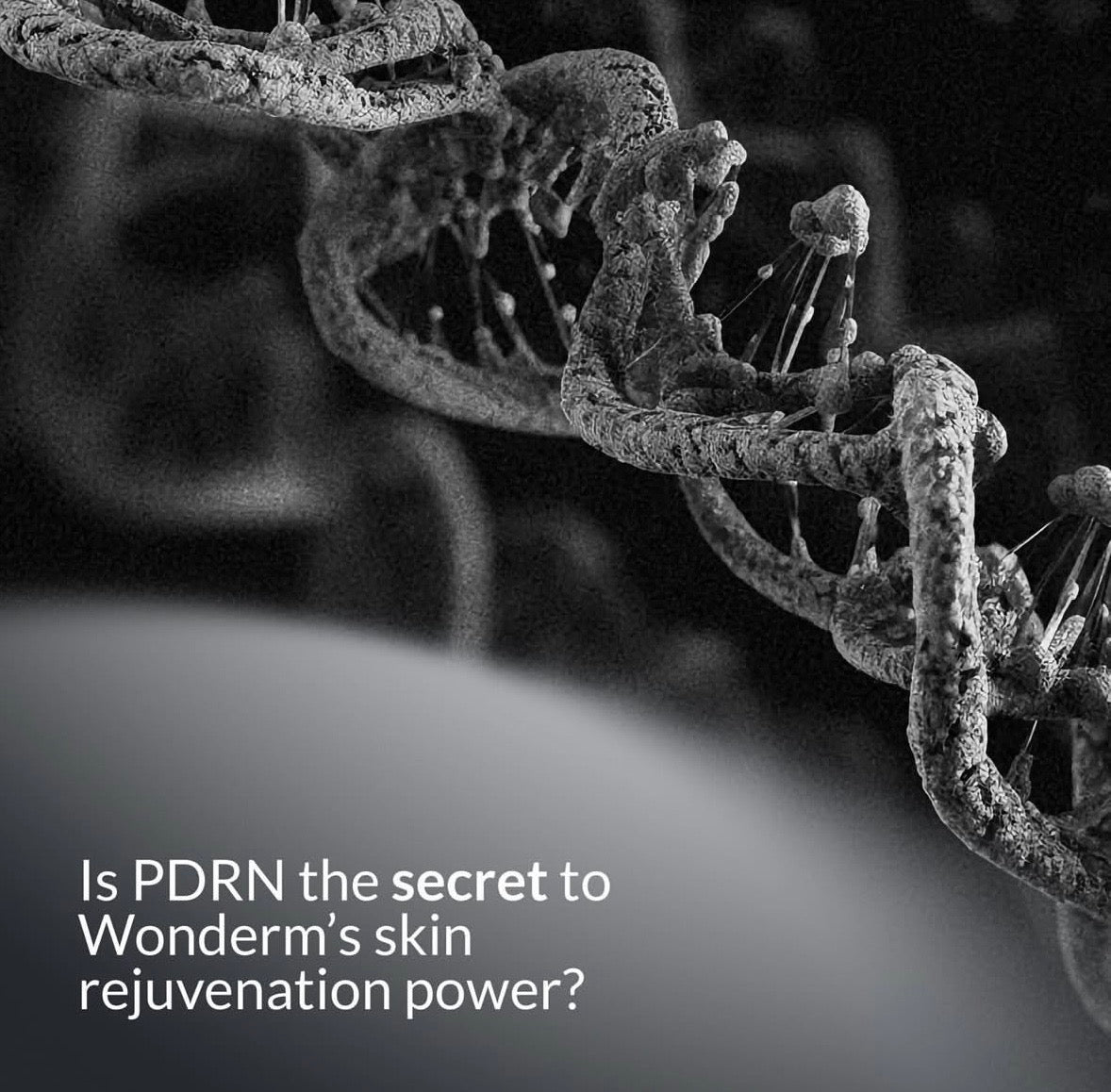 Wonderm PDRN (Salmon DNA)